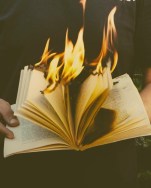 nonsap-visuals-345600